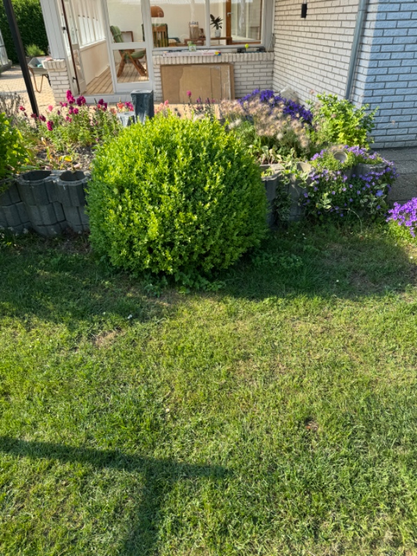 Udgravning til trampolin og træer