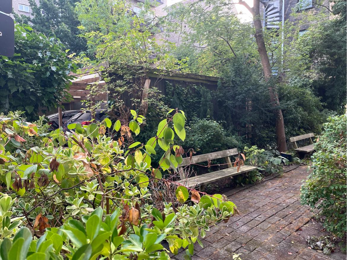 Træbeskyttelse, Carport