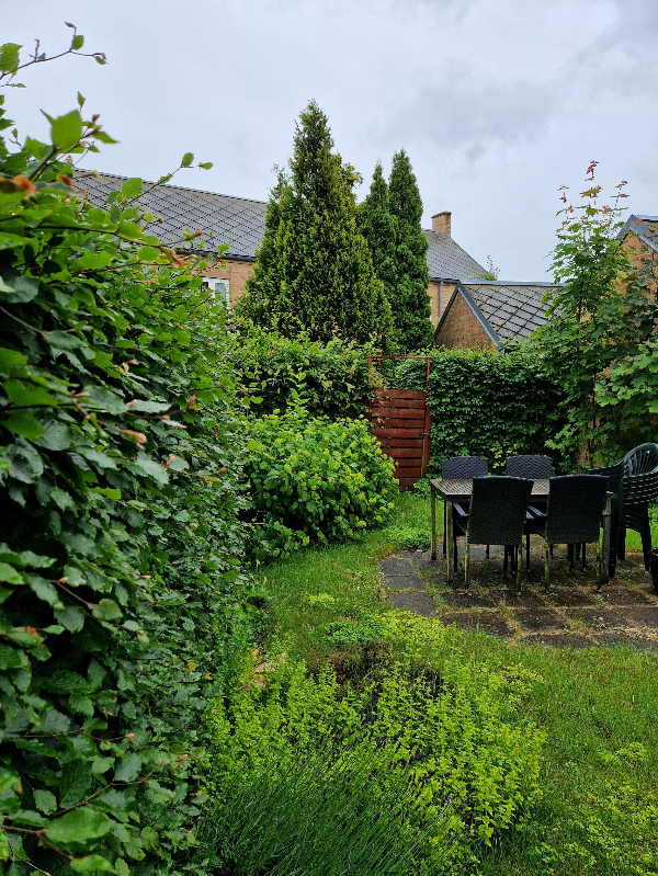 Hækkeklipning og bortskaffelse af affald