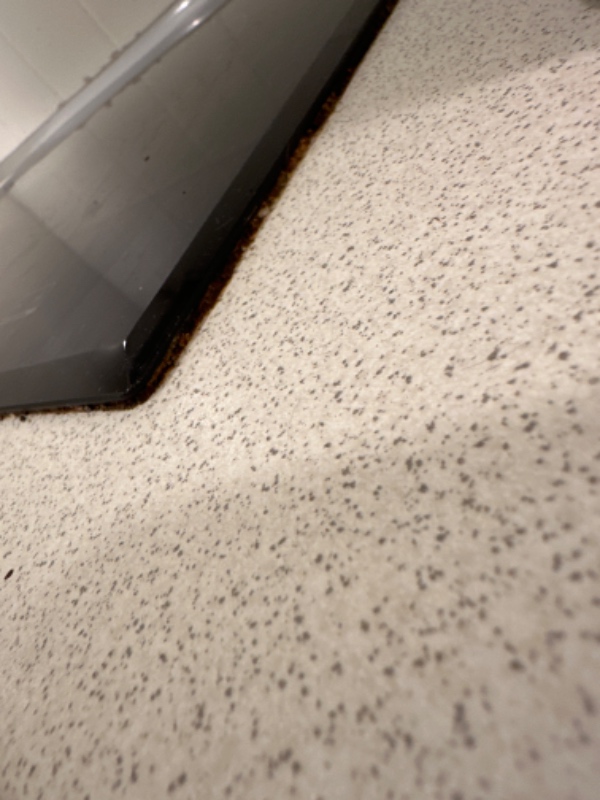 Rengøring køkken og toilet