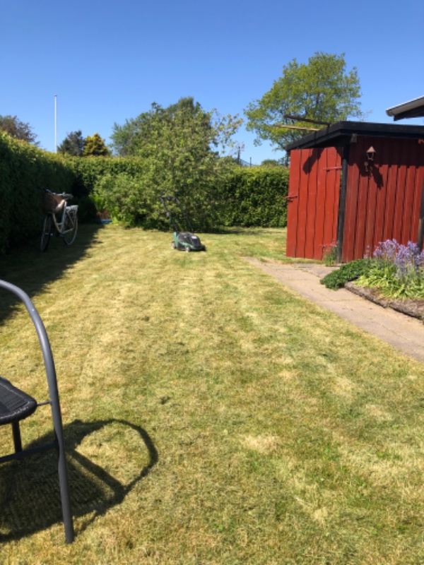 Hækklipning og affaldsfjernelse