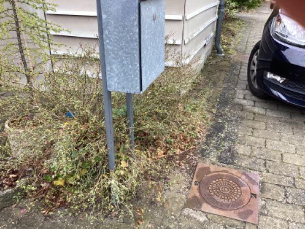 Fjernelse og belægning af bede