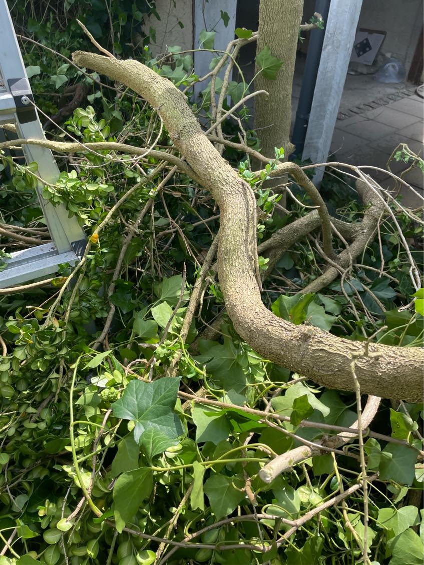 Haveaffald til genbrugspladsen