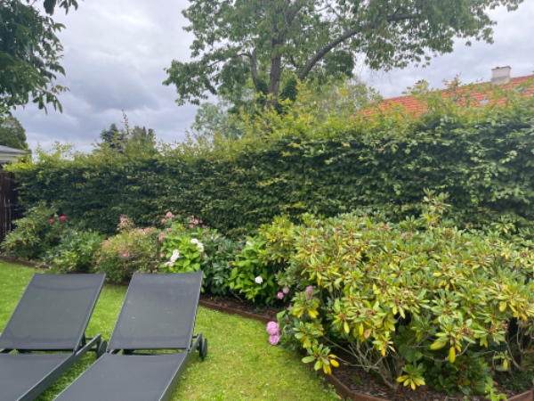 Klipning af 15 m bøgehæk, ordne bed 15x1m med ny ukrudsdug, fjernelse af haveaffald ifb dette