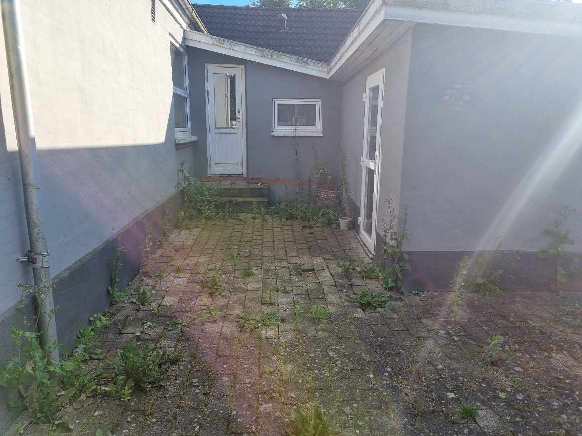 Hjælp efter overtagelse af ca 80 kvm have