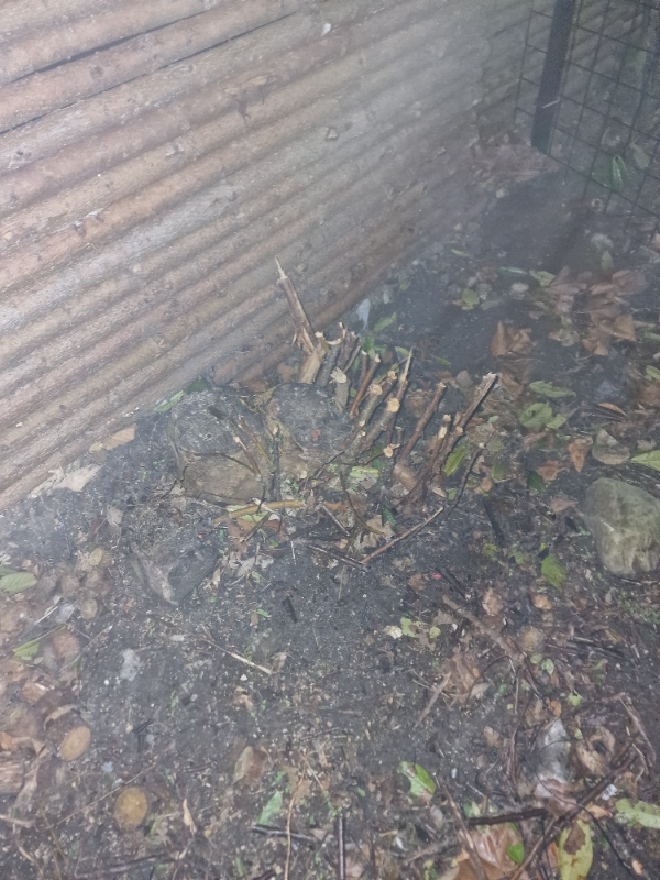 Jeg skal have frosset en stub i min have, den er 40-45cm i diameter