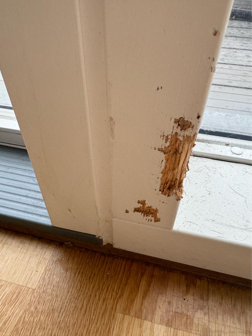 Hul i træppe og panel