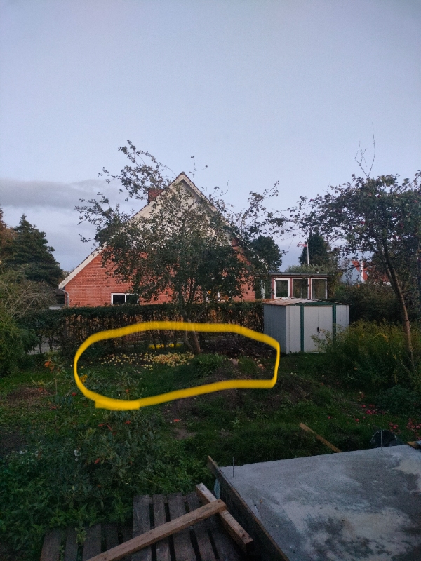 Beskær æble træer og ryd haveaffald