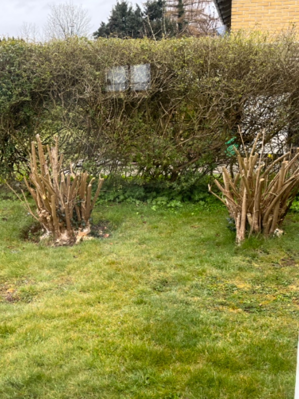 En person med en stubfræser, som også kan køre lidt haveaffald væk