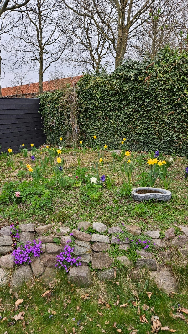 Lugning af bede samt ukrudt mellem sten