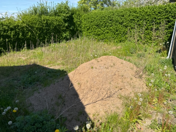 Terrasselægning med herregårdssten