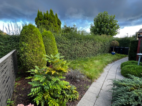 Hæk, græs og beskæring af lidt buske og lidt ukrudt