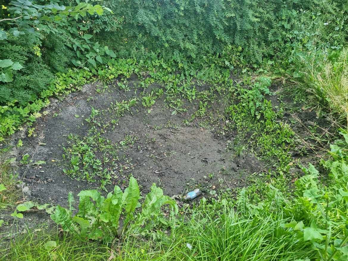 Hjælp efter overtagelse af ca 80 kvm have