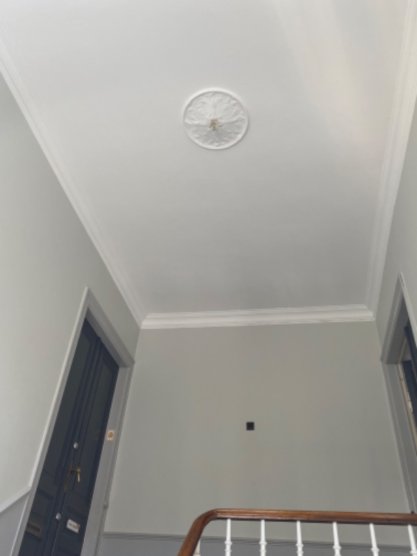 Opsætning af lampe og stige