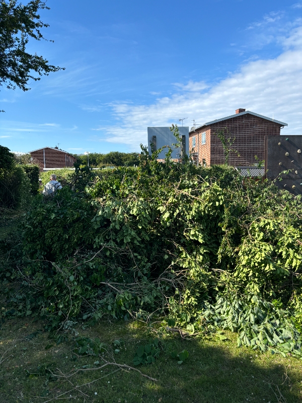 Afhentning af haveaffald med trailer