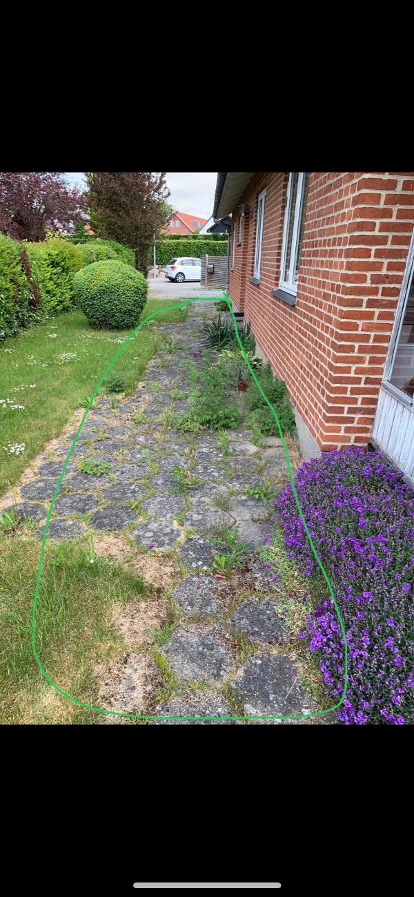 Fjernelse af ukrudt og hækkeklipning