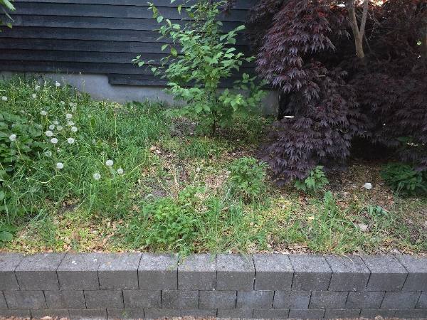 Klargøring af havebede