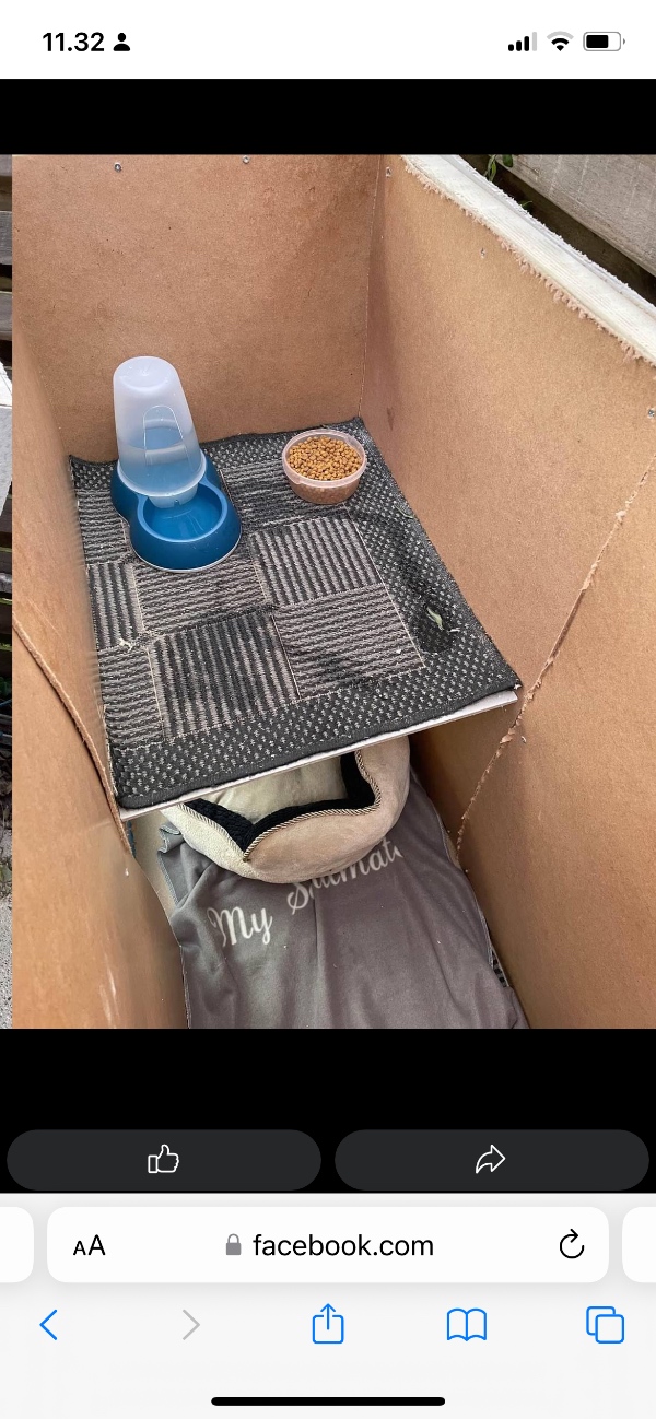 Udendørs isoleret kattehus med kattelem