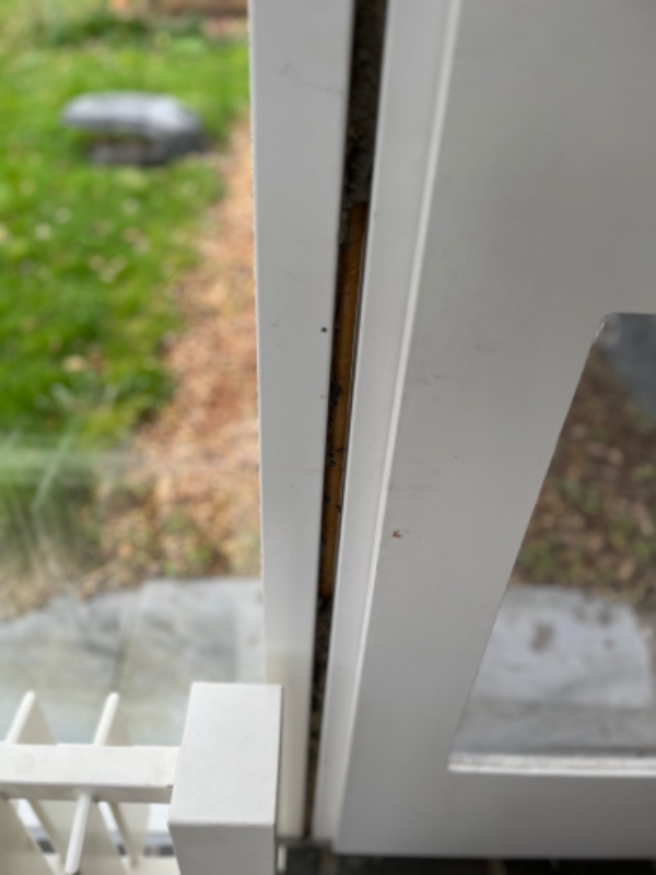 Fuger indvendigt i glastrappetårn er blevet kradset ud af nysgerrige børnefingre.