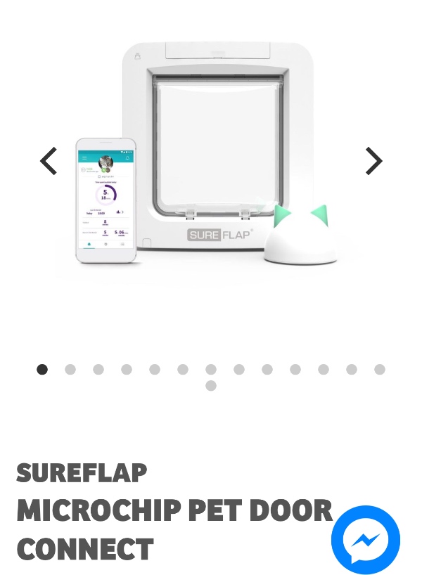 Montering af kattelem i hoveddør + småopgaver