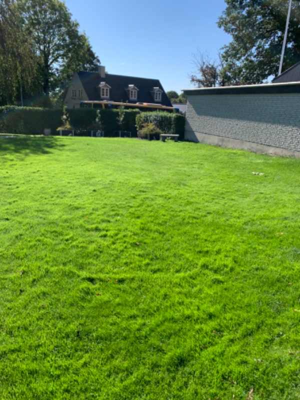 Luge ukrudt og vedligeholde