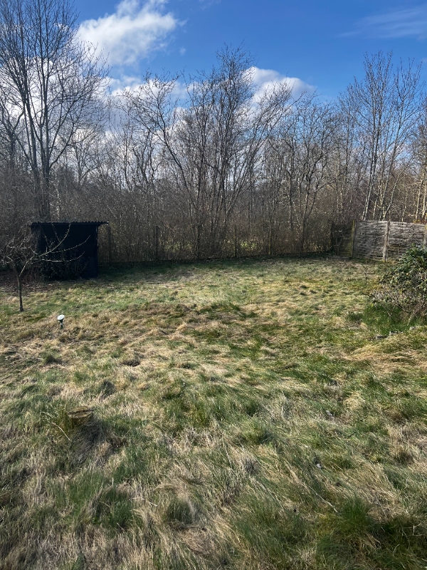 Fjernelse af græsplæne