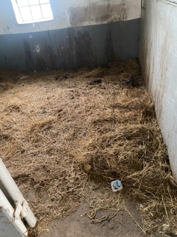 Bortskaffelse af Træ brædder, mineraluld og Halm