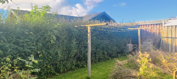 Hækkeklipning og bortkørsel af affald