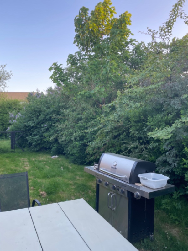 Hækklipning og affaldsfjerning