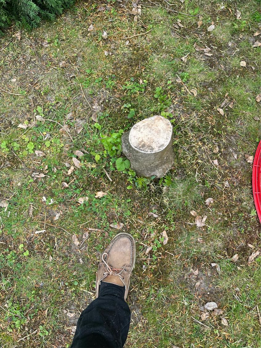 Fræsning af træstub