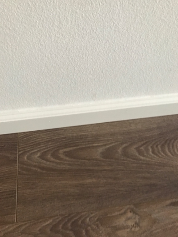 Fodlister og tagrender