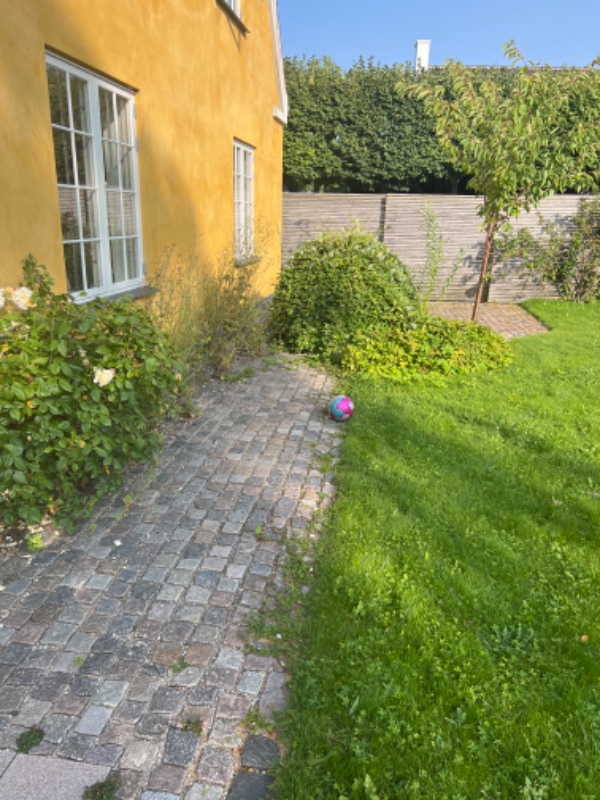 Slå græs og fjerne ukrudt 1000 m2 have