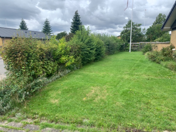 Klippet Liguster hæk som ca 90 meter hæk, og fjernet  ukrudt i indkørels. Tilbud på bortskaffelse