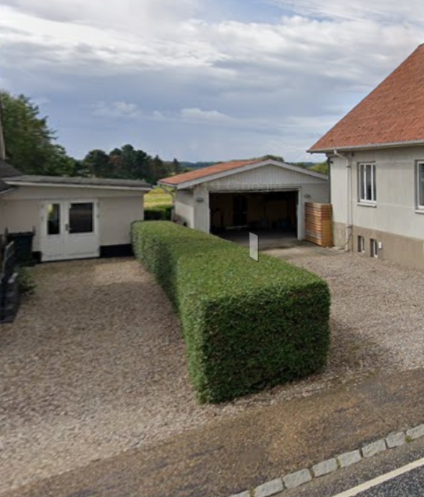 Kraftig beskæring af 10 meter hæk, skal helt gøres i oktober