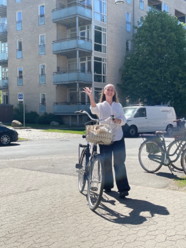 Udskiftning af 12 fliser