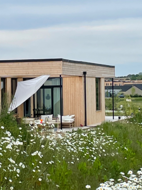 Vores træhus skal vaskes ned