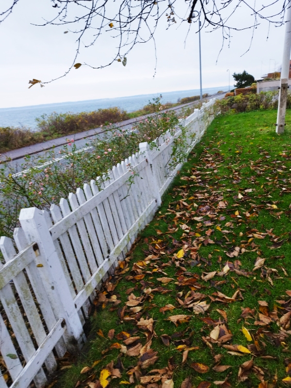 7 gamle stolper fjernes nye ( er klar) nedgraves i samme huller