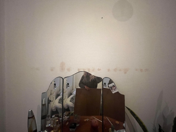 Reparation af gipsvæg