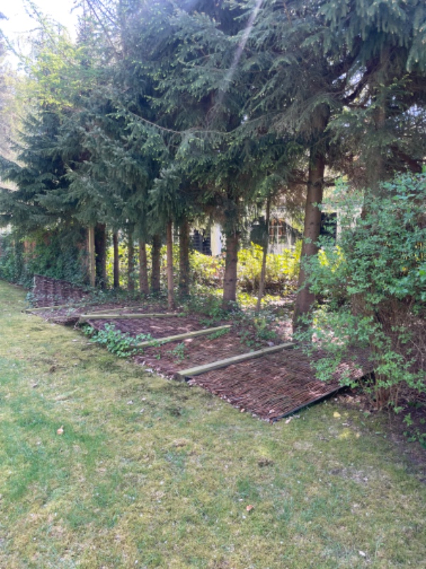 Reparation af hegn i Hornbæk