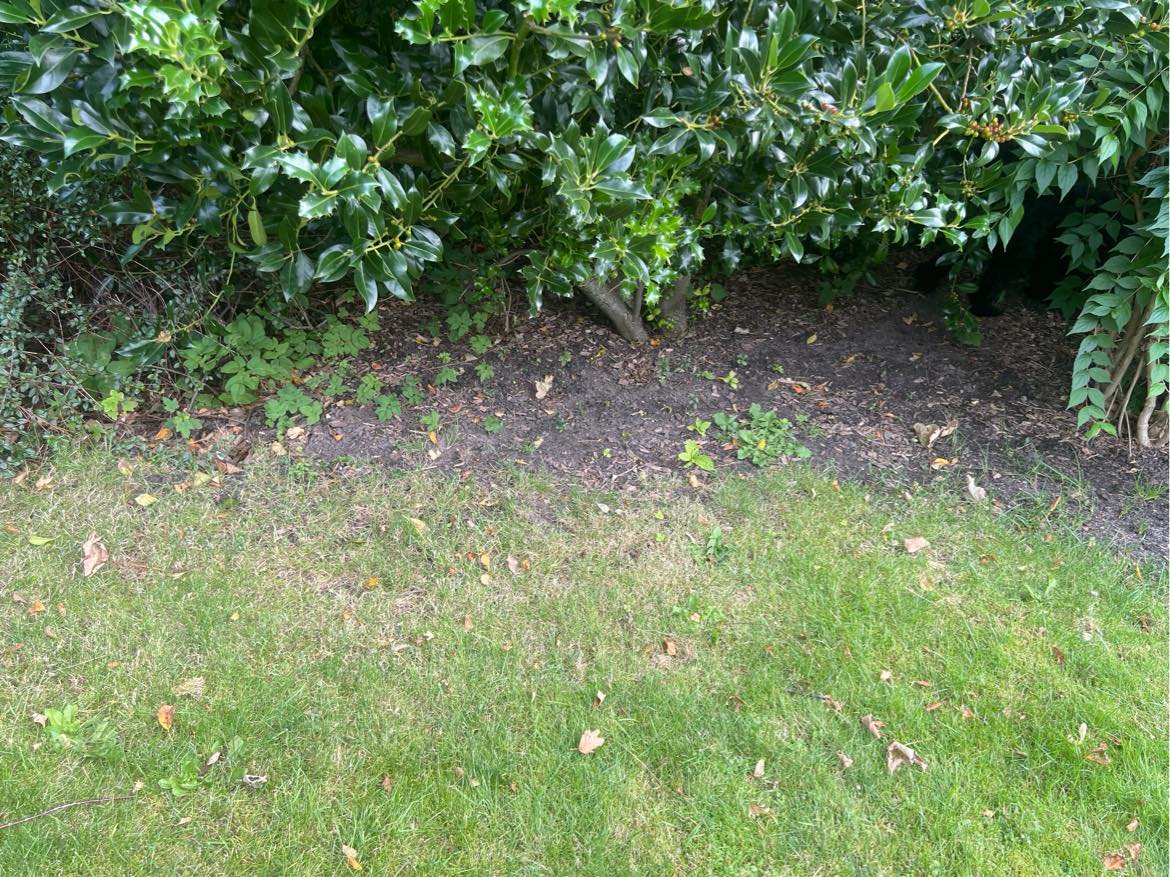 Havearbejde, fjerne ukrudt