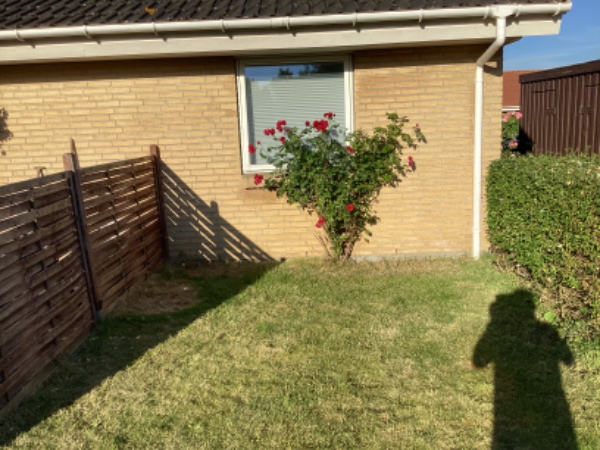 Montering af lamper, TV og hegn