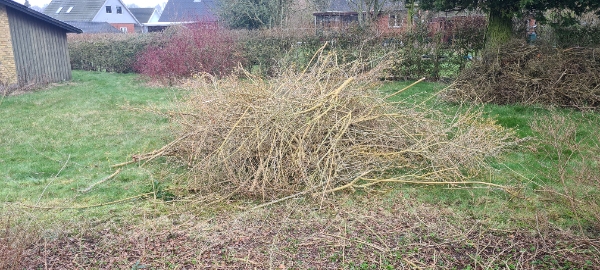 Fjernet haveaffald. *hækafklip)