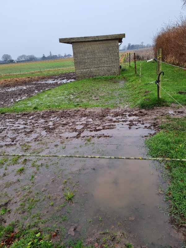 Muddersikre hestefolde