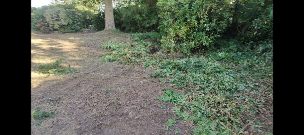 Haveoprydning en dag