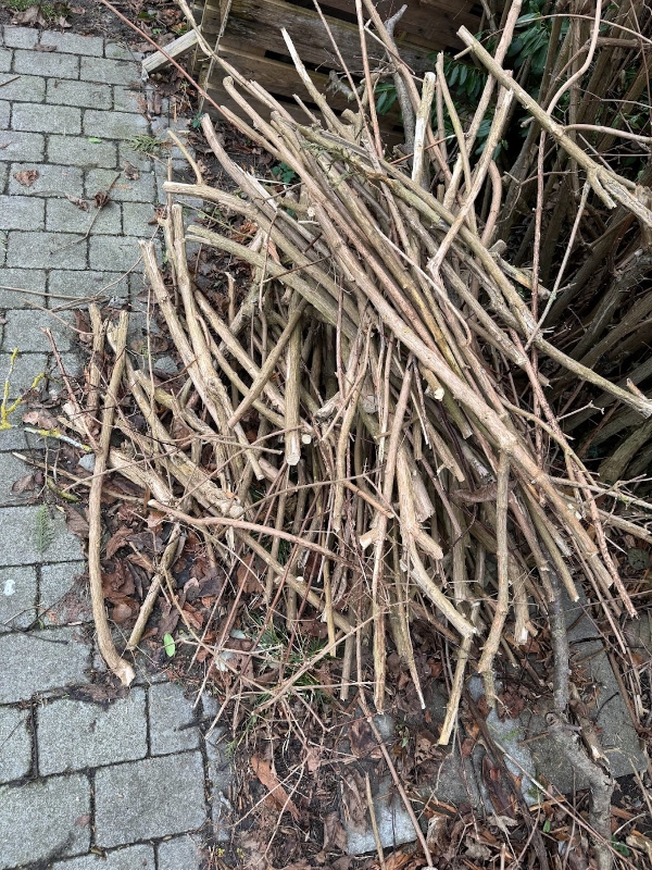 Bortskaffelse af diverse affald