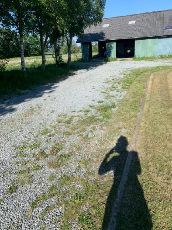 Fjernelse af ukrudt på gårdsplads