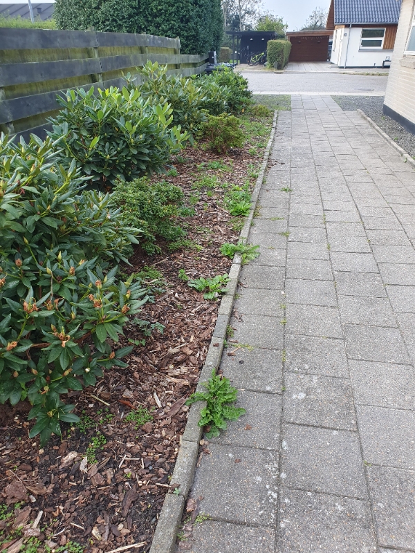 Luget ukrudtet fra bed foran huset, samt indkørsel (granitskaver) og langs hegnet, samt mellem alle fliser