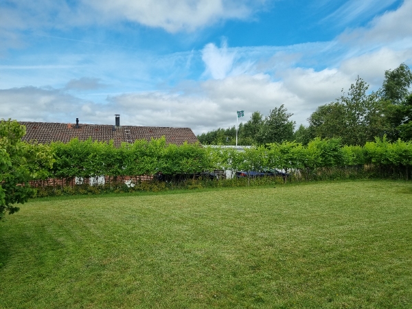 Hækkeklipning, og ligne