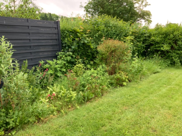 Ukrudtsfjerning og affaldshåndtering