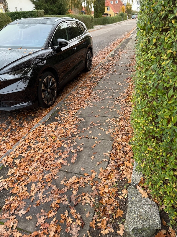 Rydde og bortskaffe blade samt ordne ukrudt på fortovsstykke